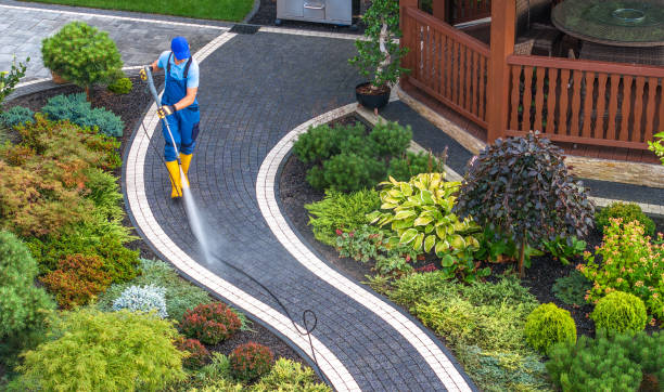 Best House Pressure Washing  in Collinsburg, PA