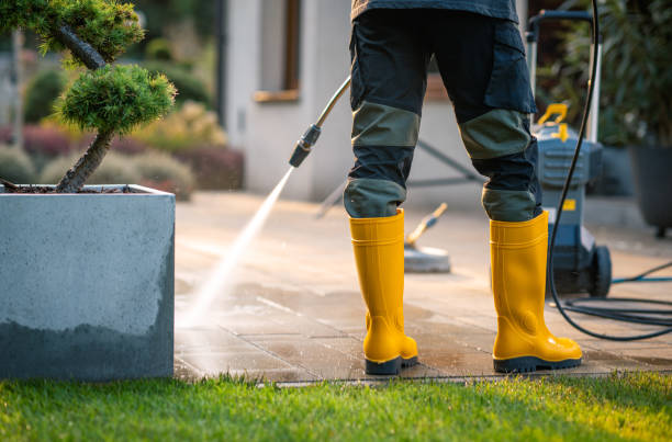 Best Roof Pressure Washing  in Collinsburg, PA